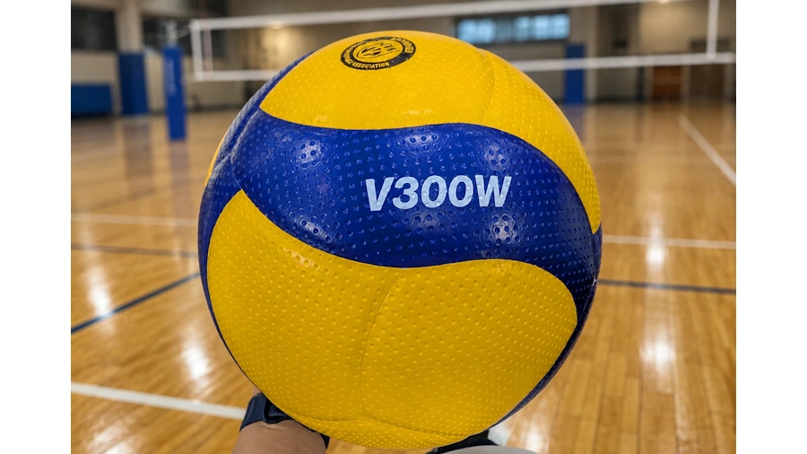 筆者所有のV300W