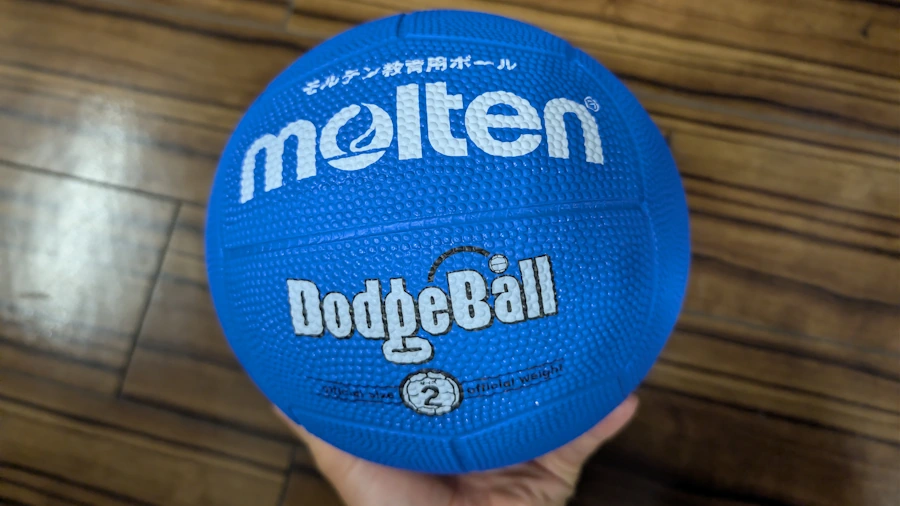 筆者が使用中のドッジボールD2B