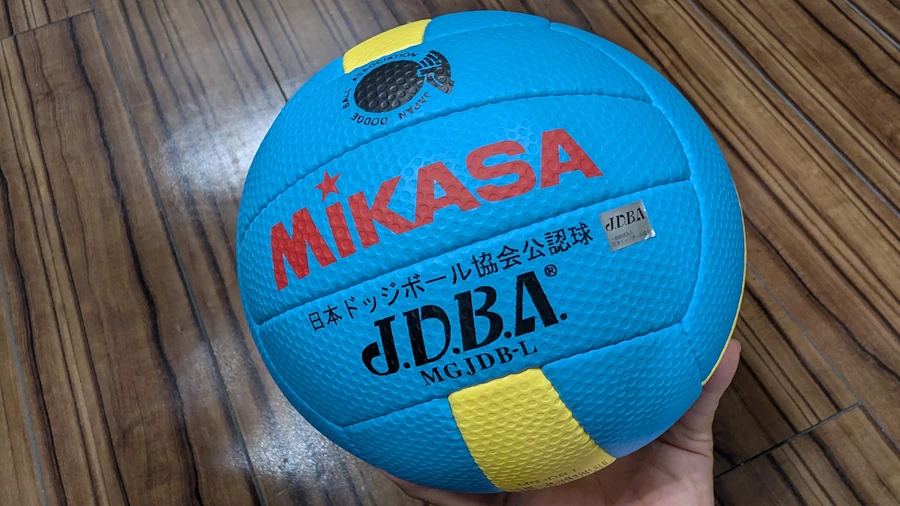 筆者所有のドッジボール